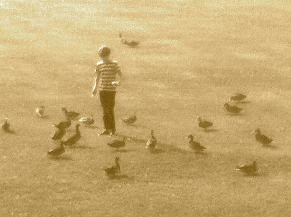 titelbild_maxundGaense